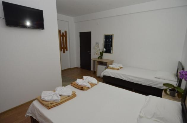 Hotel Talisman Костинешти Экстерьер фото